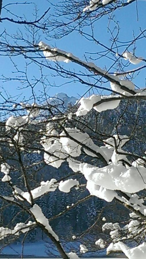 Fw Weissensee 44 Füssen Exteriör bild