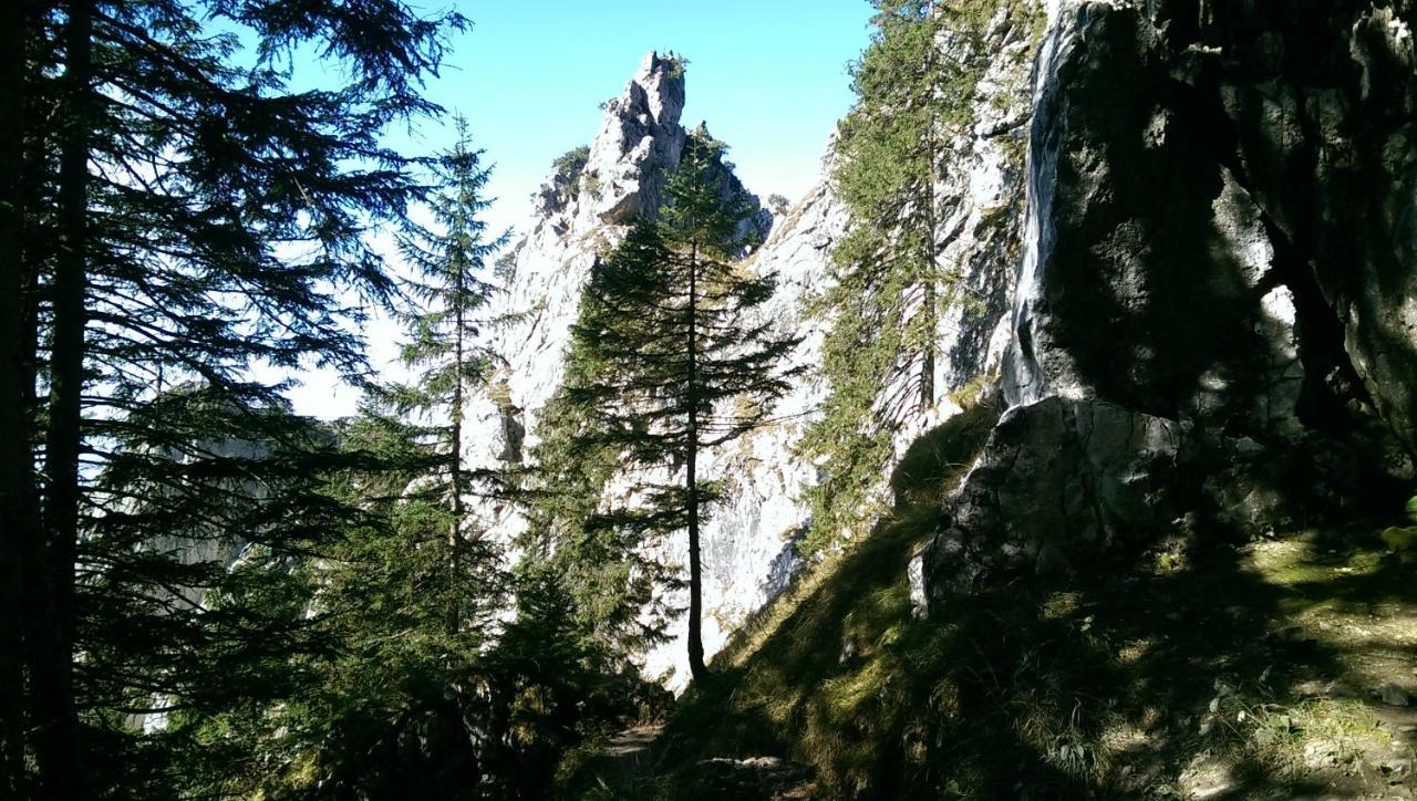 Fw Weissensee 44 Füssen Exteriör bild