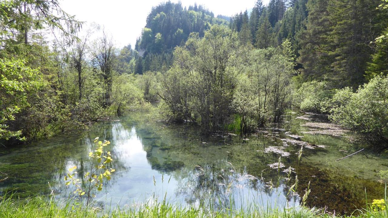 Fw Weissensee 44 Füssen Exteriör bild