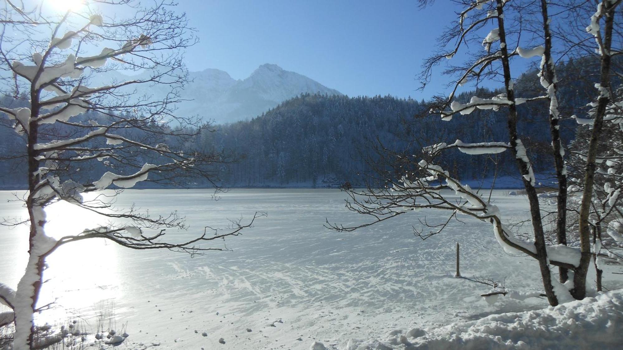 Fw Weissensee 44 Füssen Exteriör bild