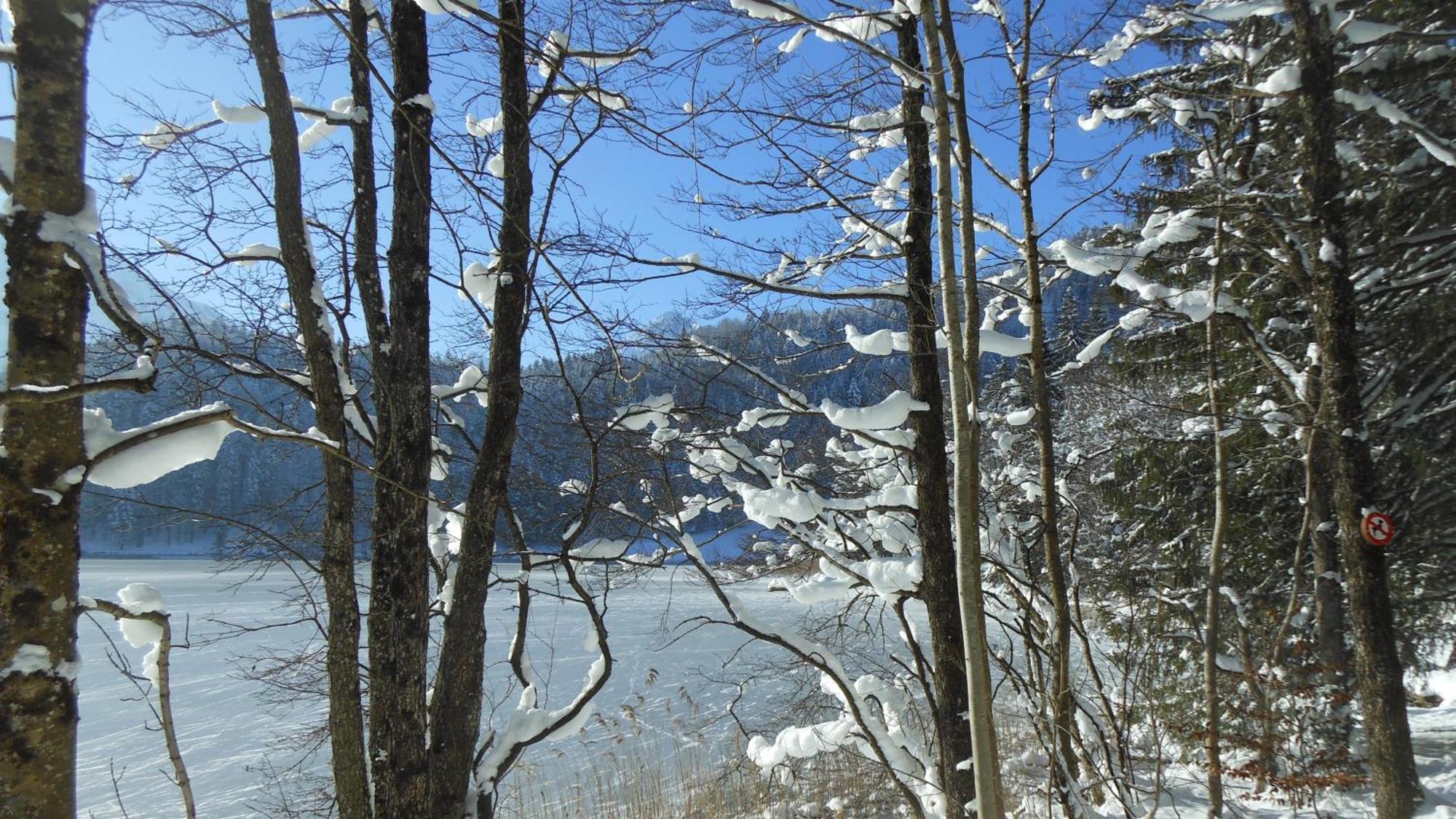 Fw Weissensee 44 Füssen Exteriör bild
